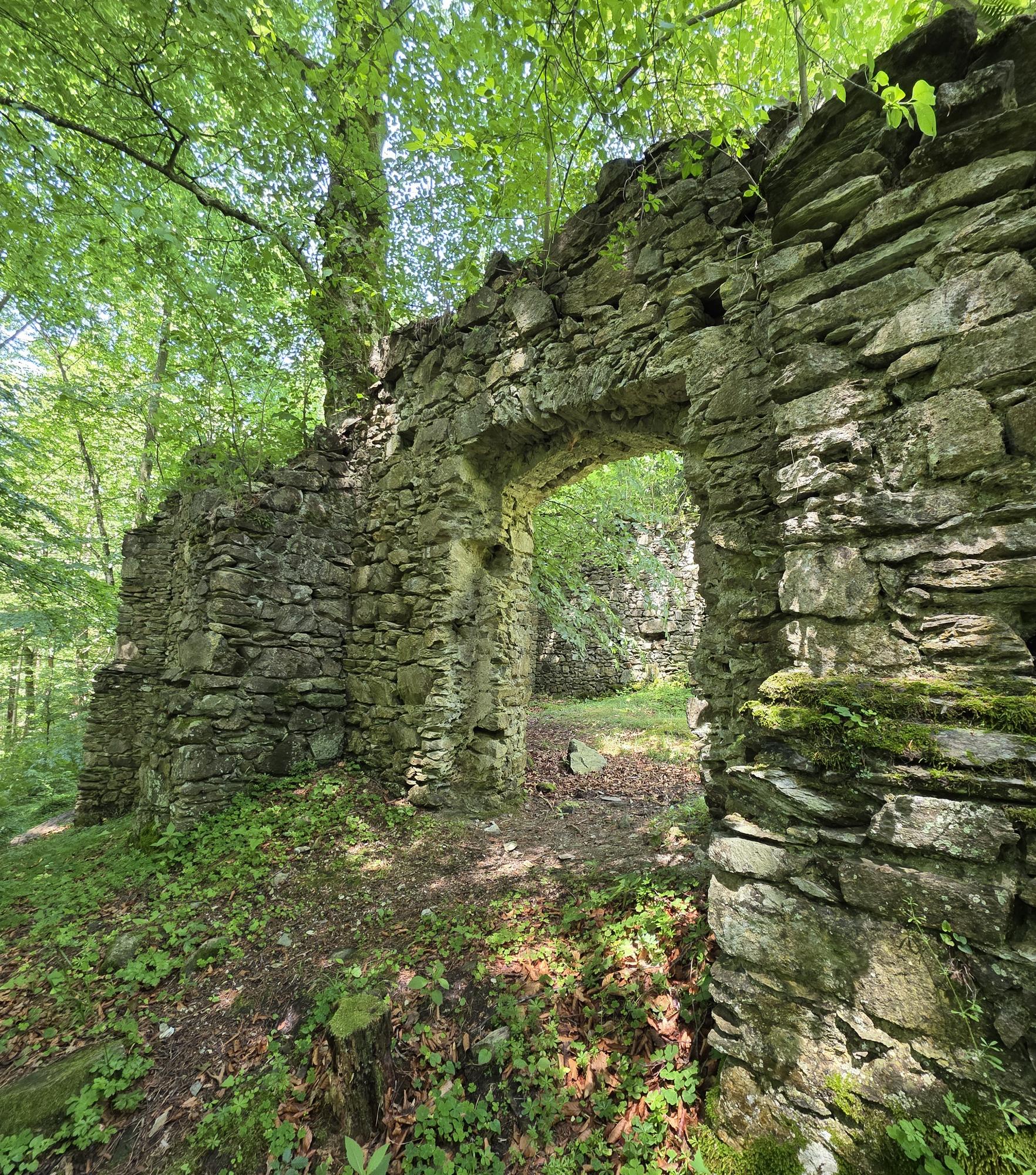Alte Steinmauer im grünen Wald