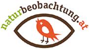 Logo naturbeobachtung.at roter Vogel in einem Auge