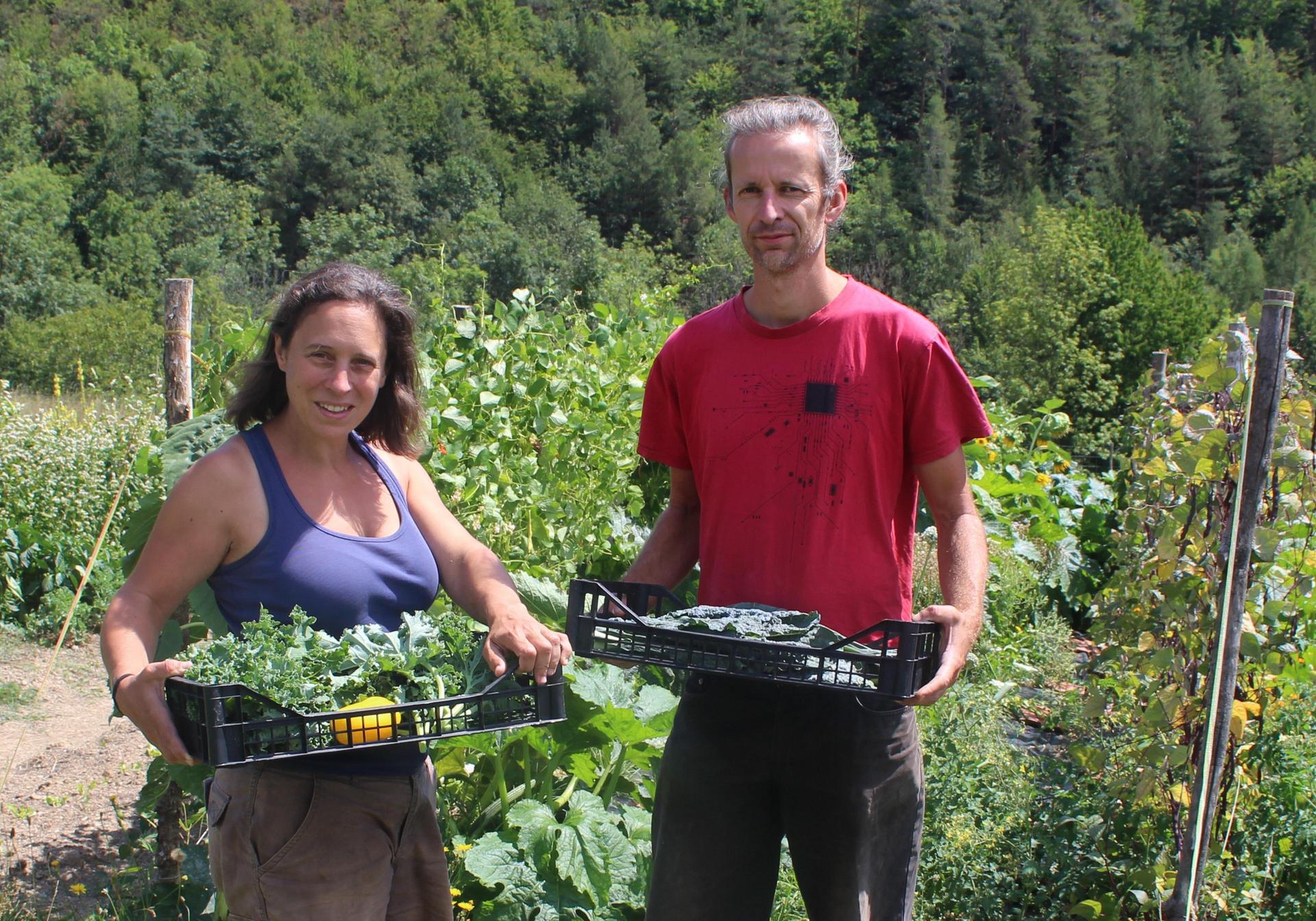 Direktvermarkter mit Gemüsekiste