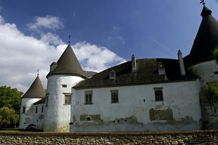 Schloss Kobersdorf: Schloss mit runden Türmen und dunklem Dach.