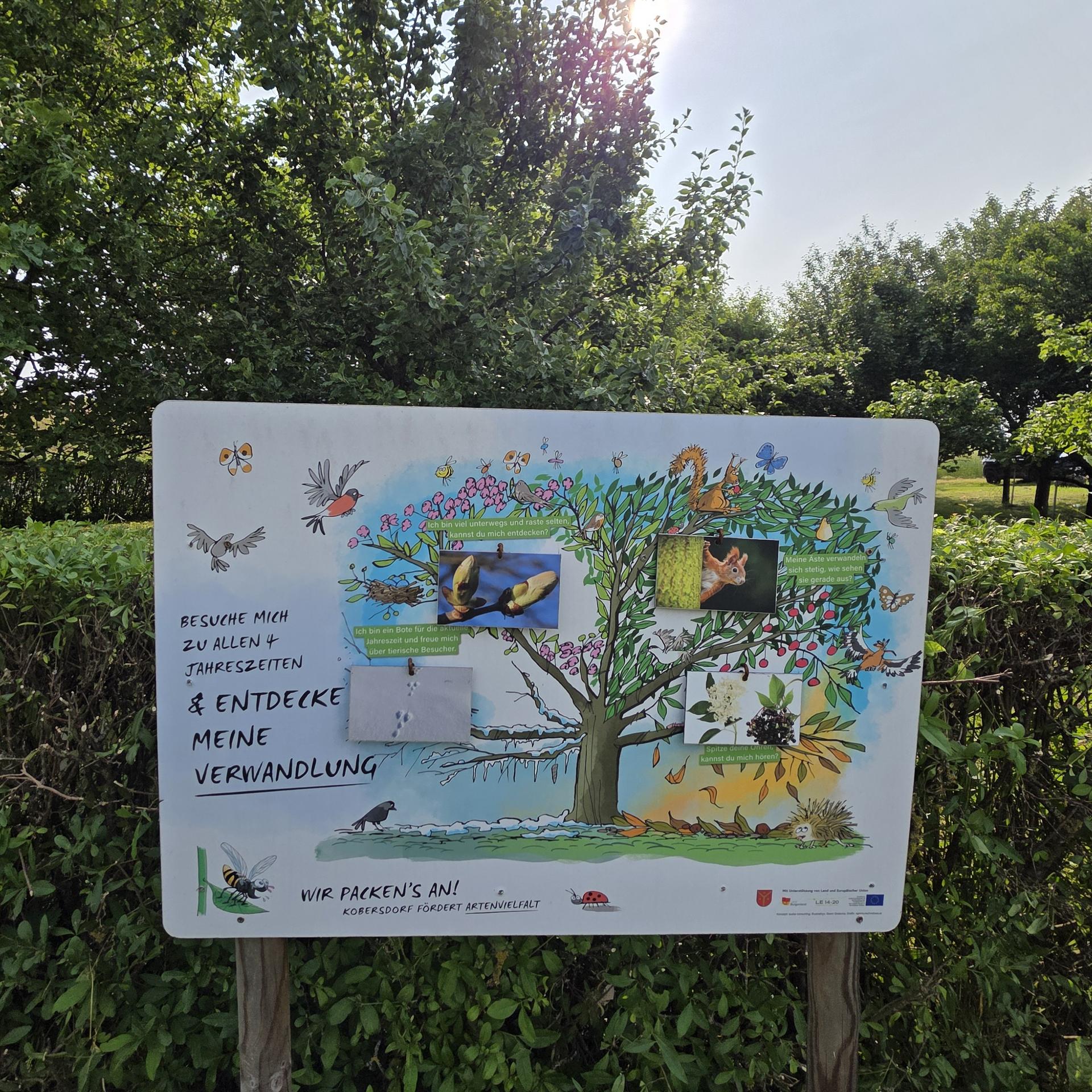 Streuobstwiese mit Lehrtafel