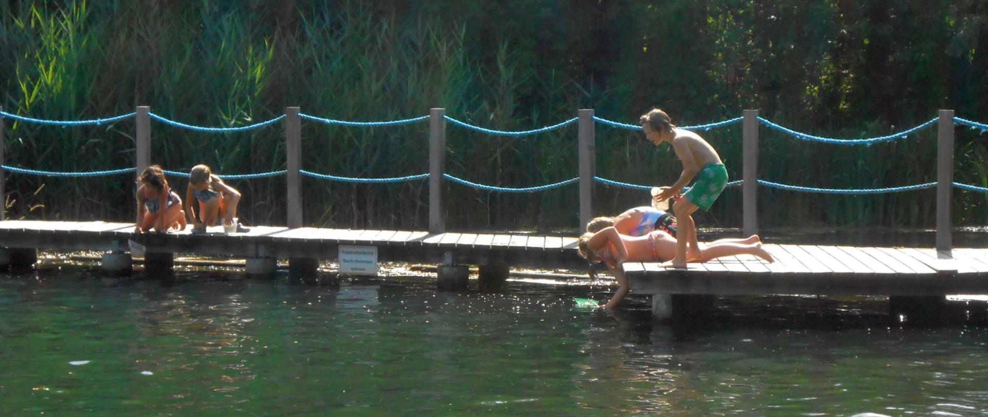 Kinder erkunden vom Steg aus den Lebensraum Wasser
