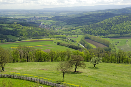 Hügelige Landschaft mit Obstbäumen und Hecken.