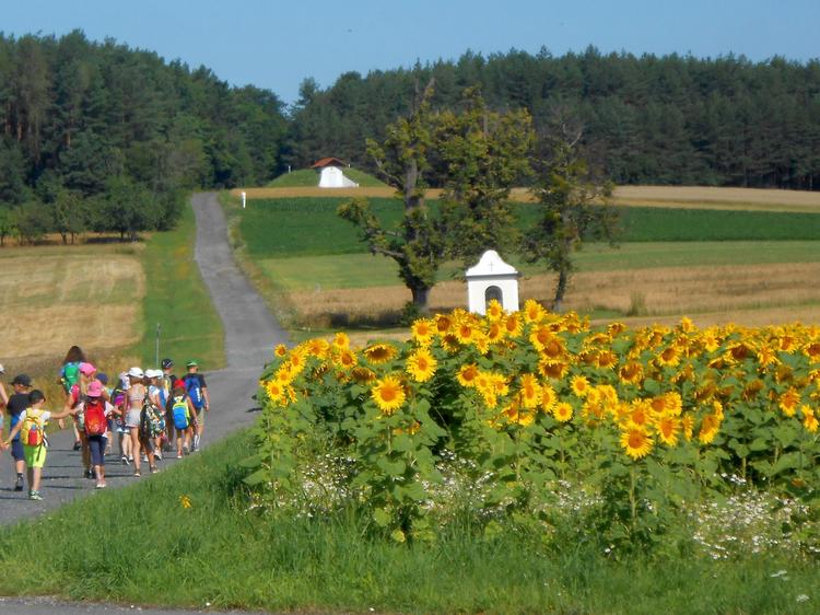 Kinder der Naturparkbildungseinrichtung in der hügeligen Landschaft des Naturparks