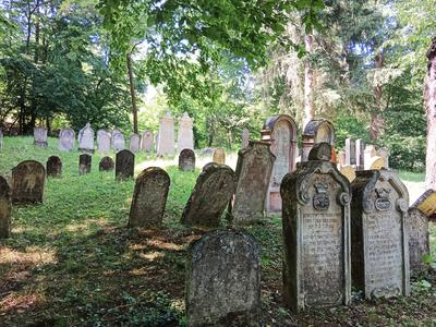 jüdischer Friedhof mit alten Grabsteinen im Wald