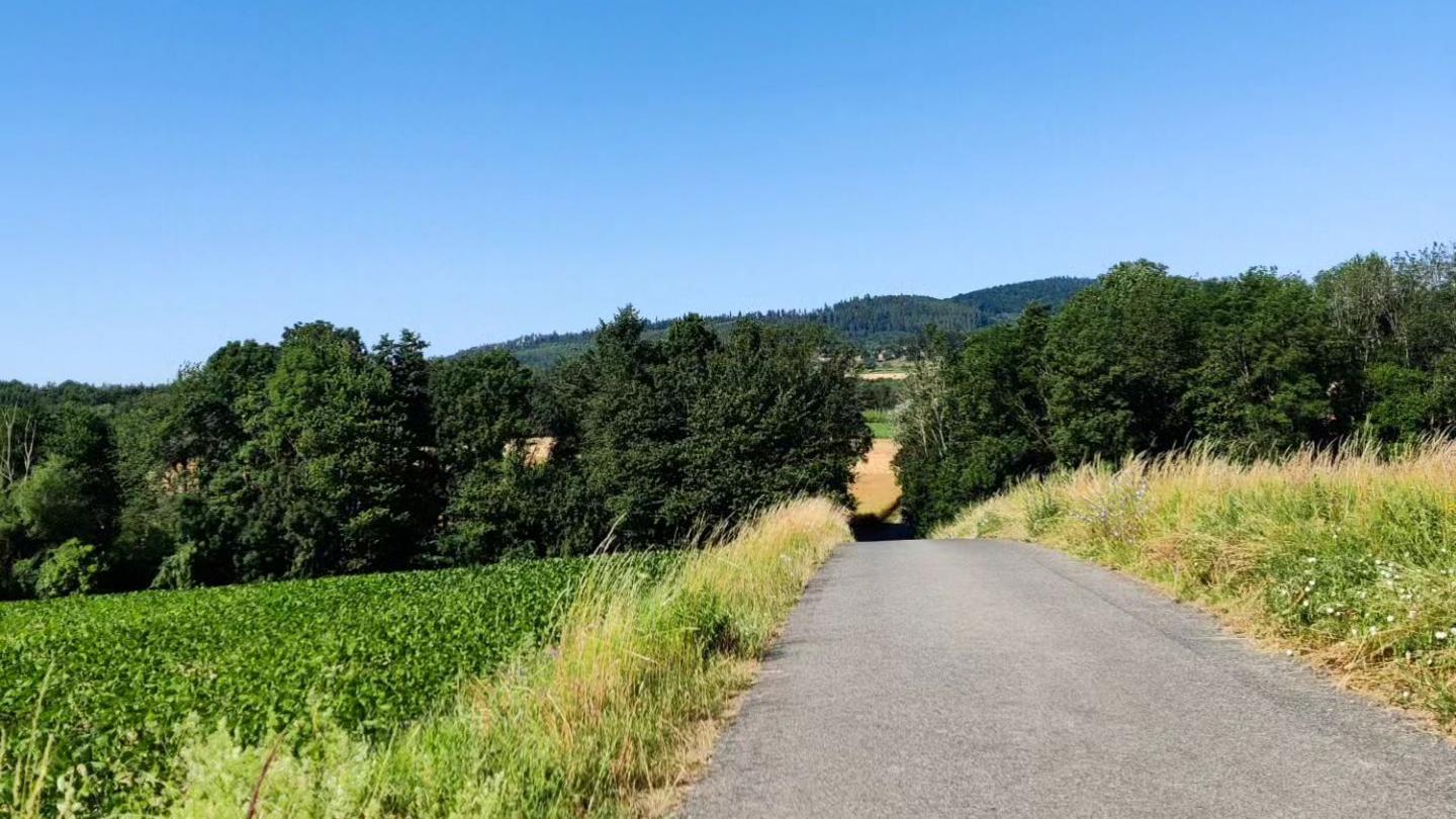 Radweg zwischen Grünen Wiesen und blauem Himmel