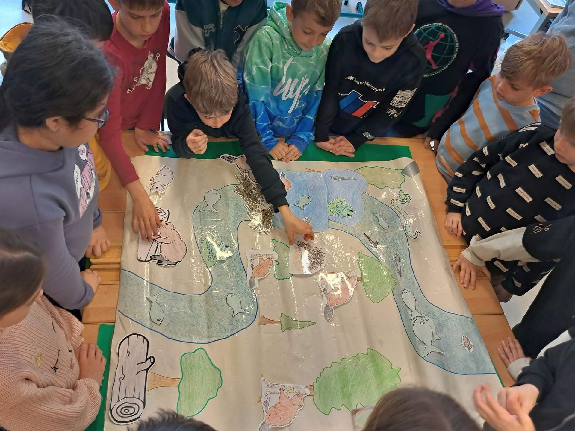 Biber Landschaftsplakat