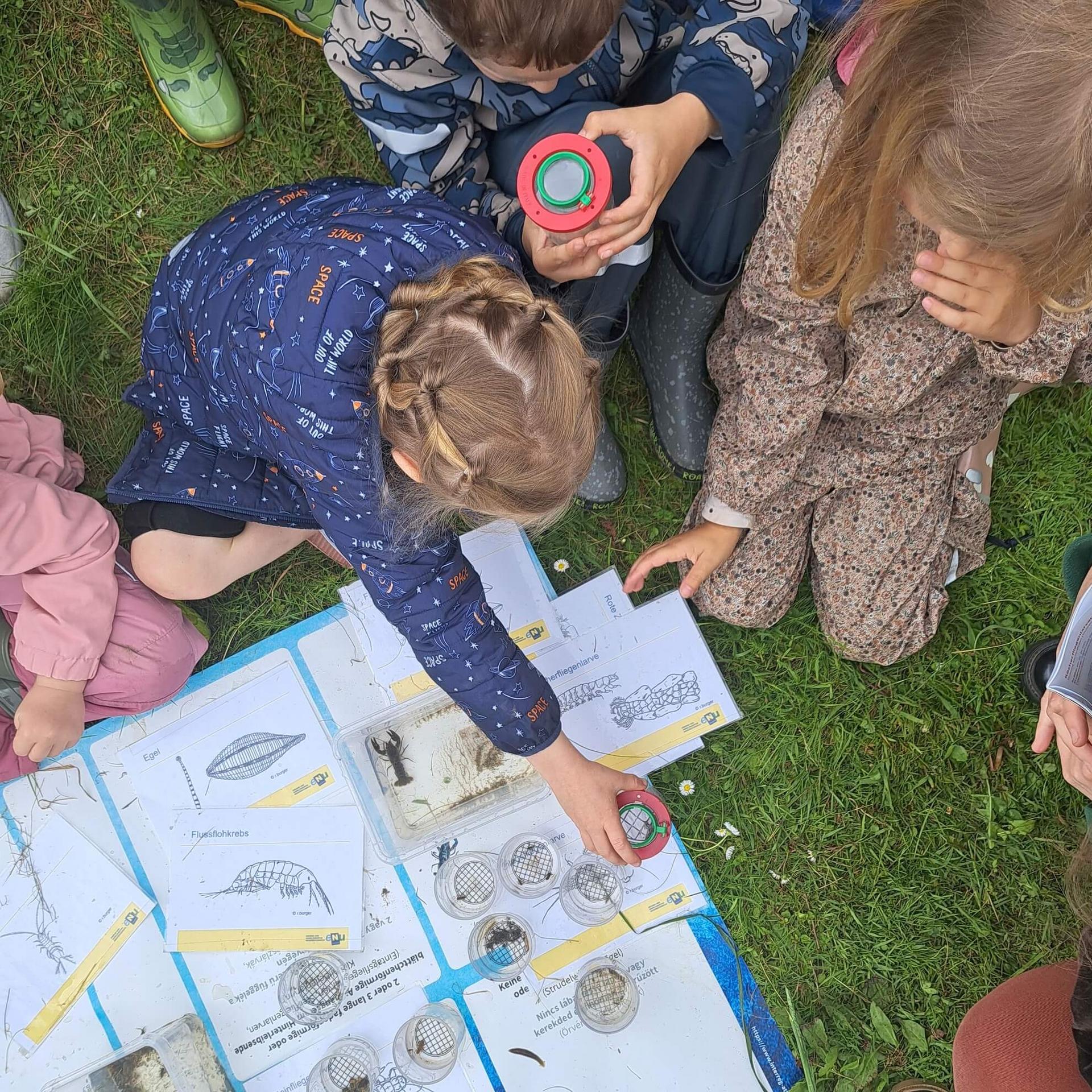 Kinder mit Becherlupe und Plakat