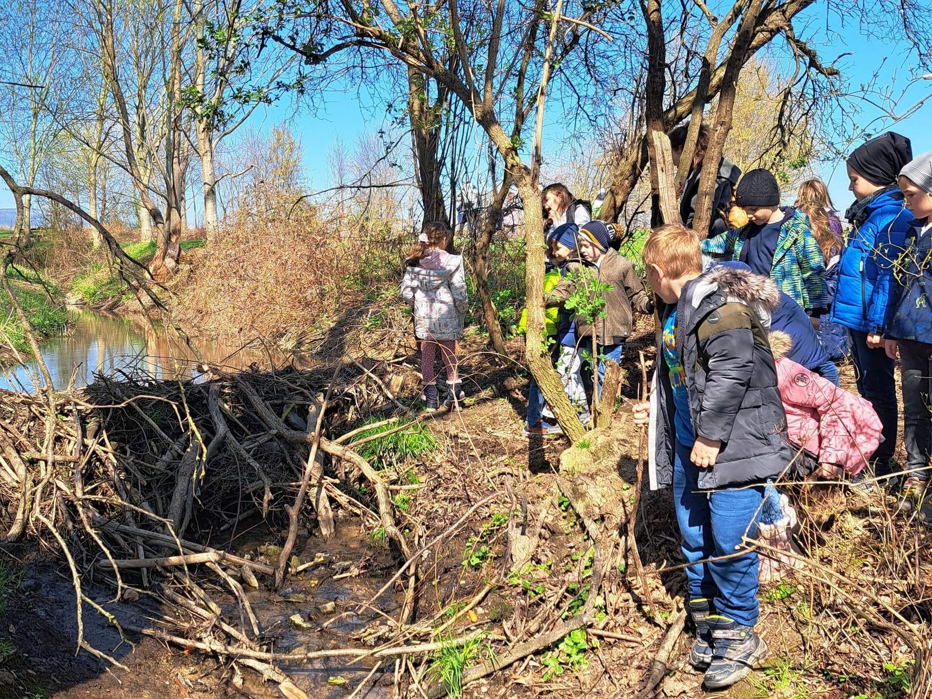 Kinder entdecken Biberdamm