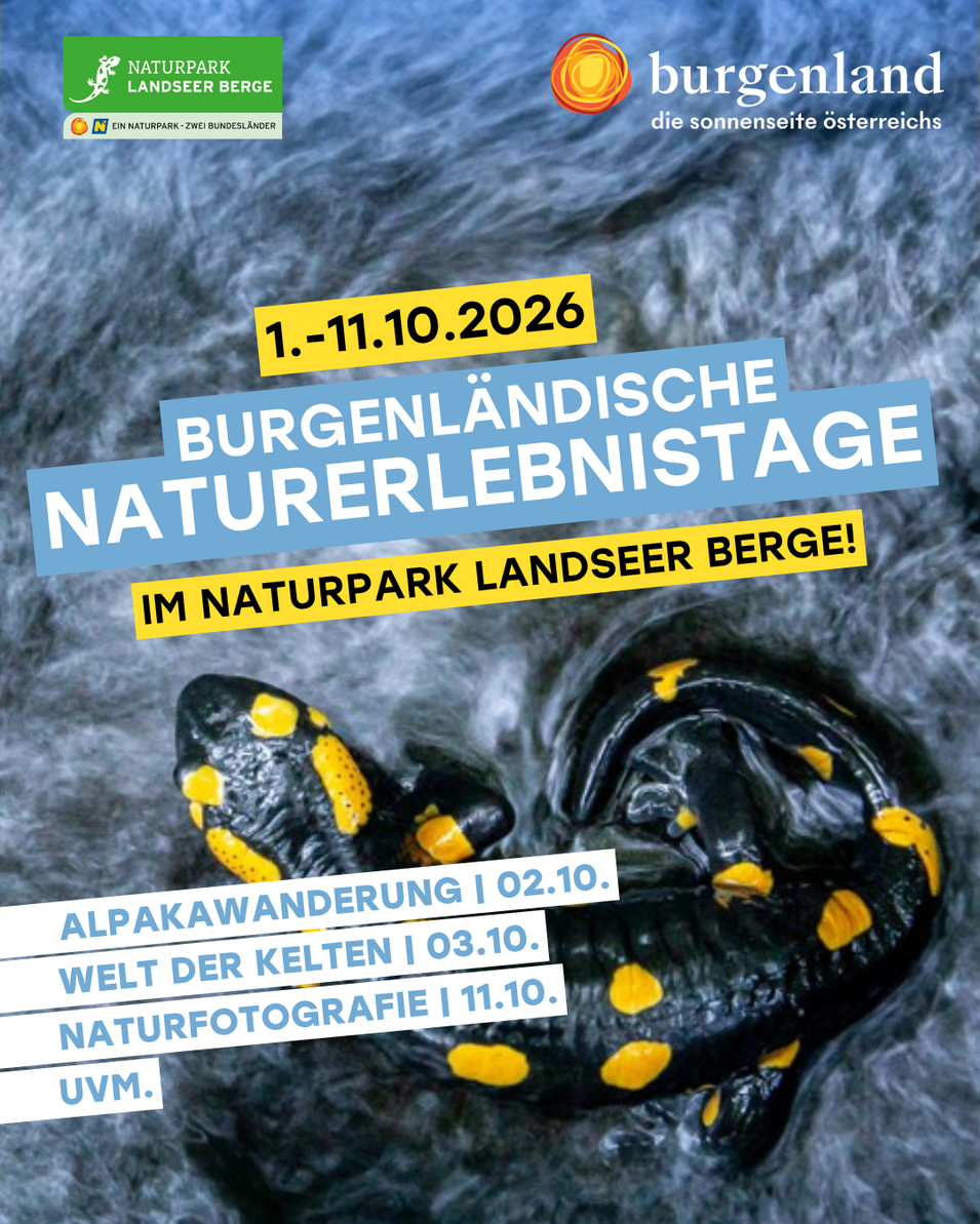Infoplakat mit Feuersalamander 
