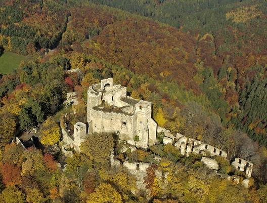 Ruine Landsee im Wald von oben