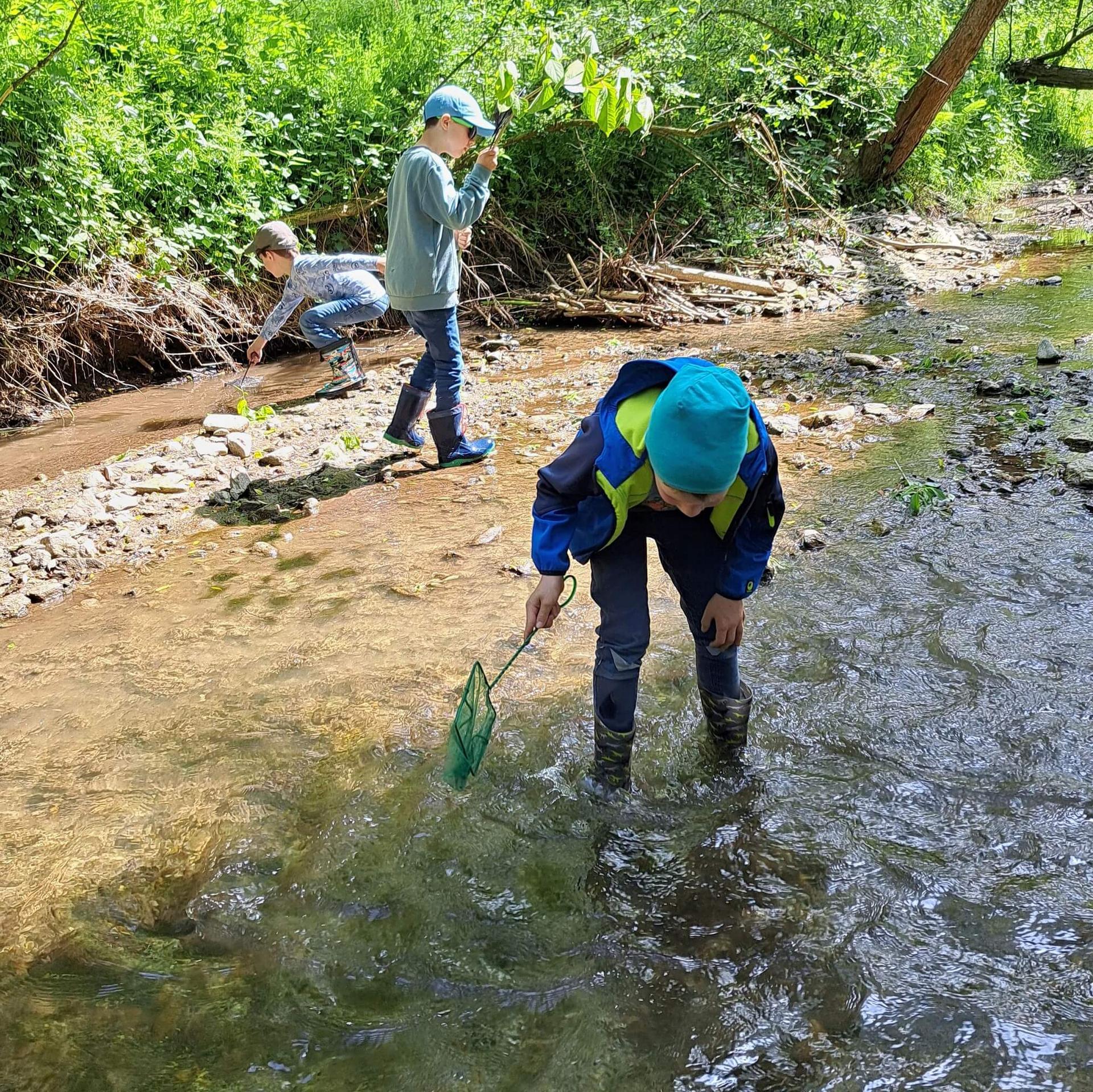 Kinder keschern im Bach