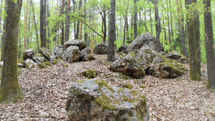 große Gesteinsbrocken im Wald auf Hügel