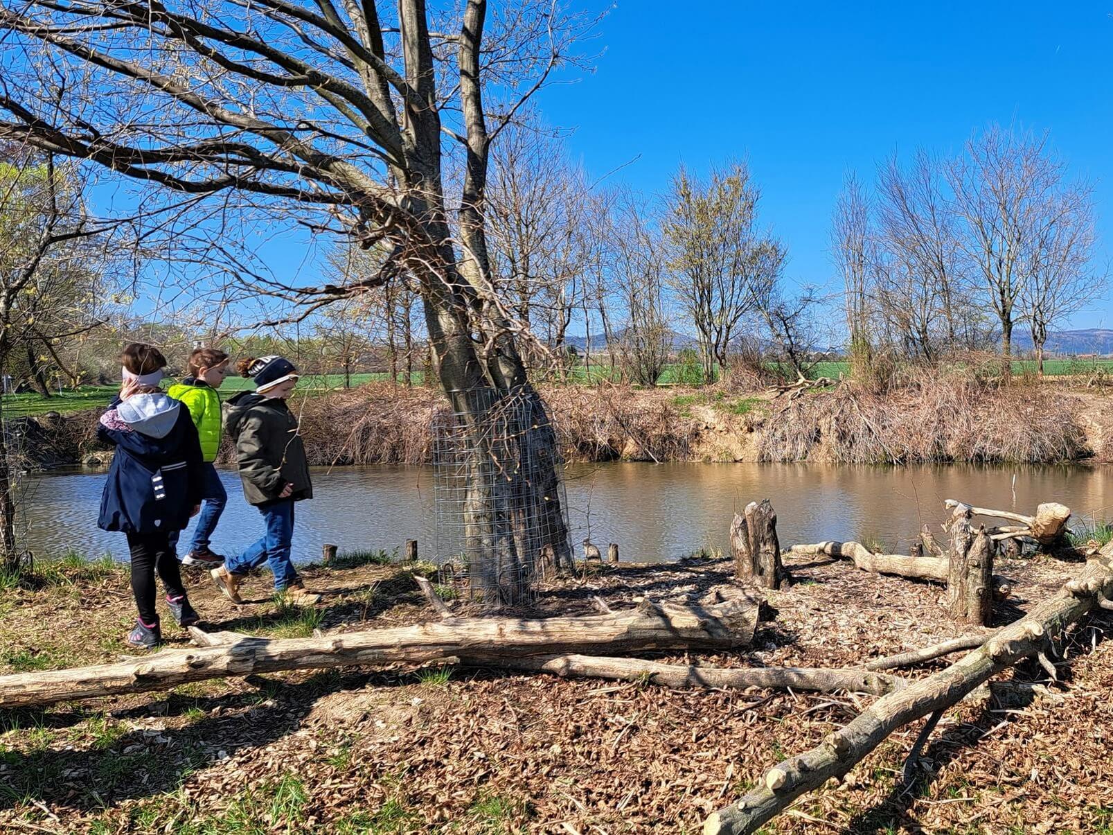 Kinder erkunden gefällte Bäume