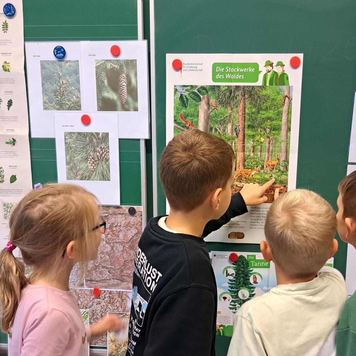 Kinder zeigen auf Waldplakat