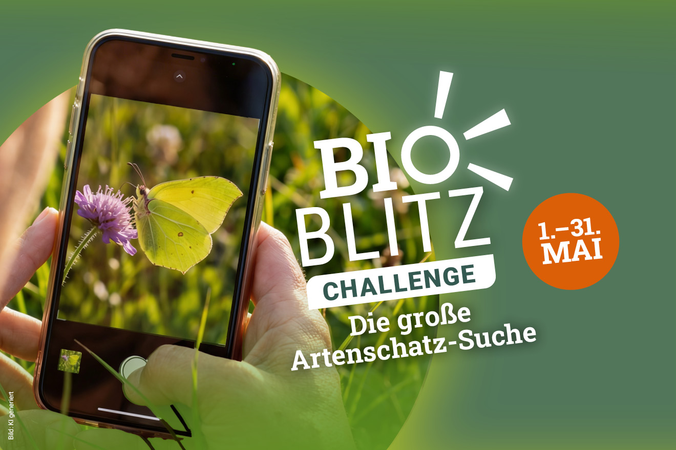 BIOBLITZ Challenge Handy